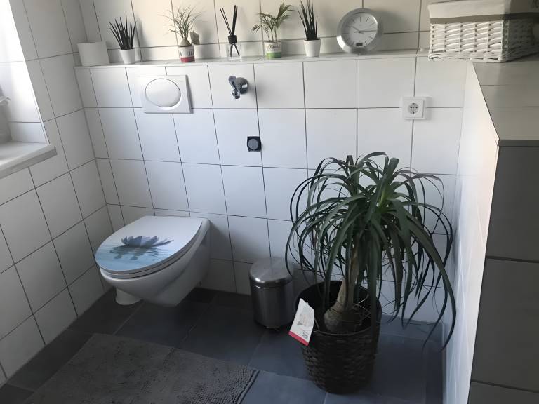 foto7