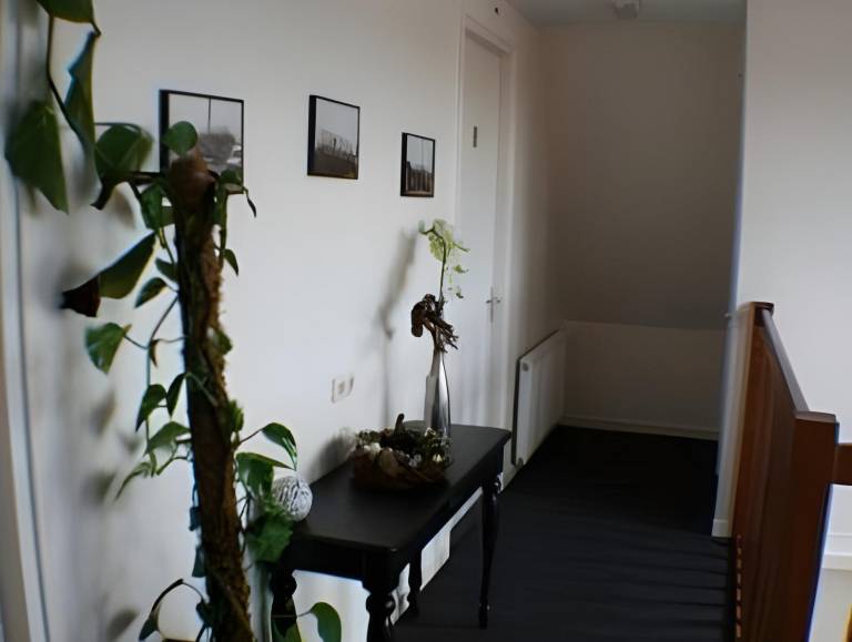 foto29