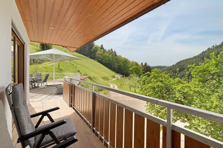 Ferienwohnung Bad Peterstal-Griesbach