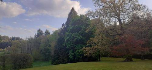 foto12