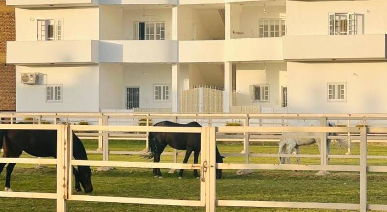 Star - private apartments in Luxor