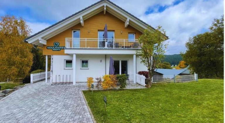 Apartment with sauna, terrace & garden in Feldberg