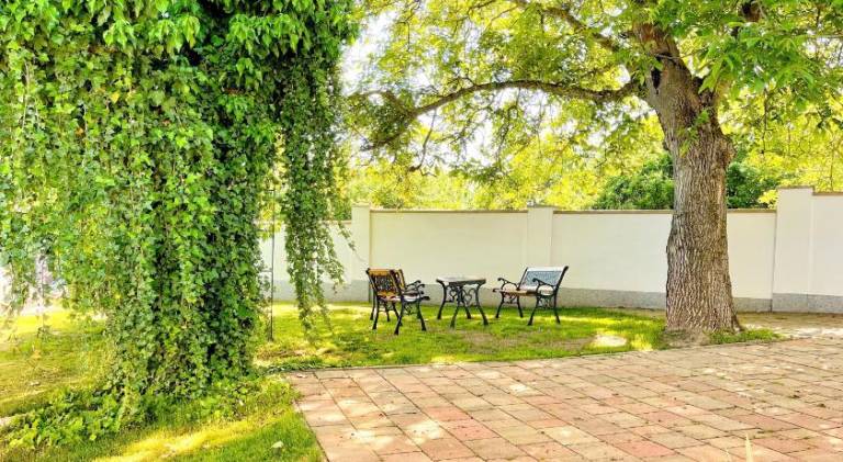 Holiday apartment with yard, terrace & barbeque | Suitable for remote work | Pet-friendly — photo 5