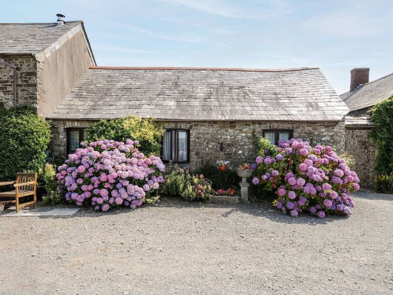 Cabin  Morwenstow