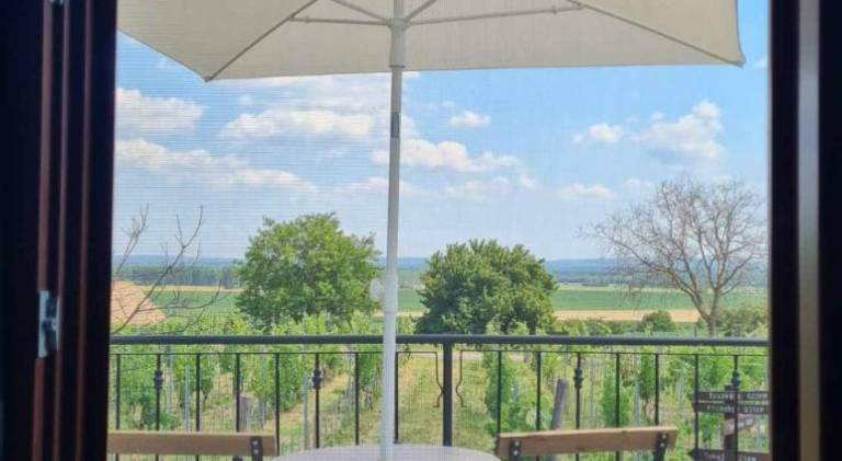 Pleasant vacation home | Pet-friendly — photo 4