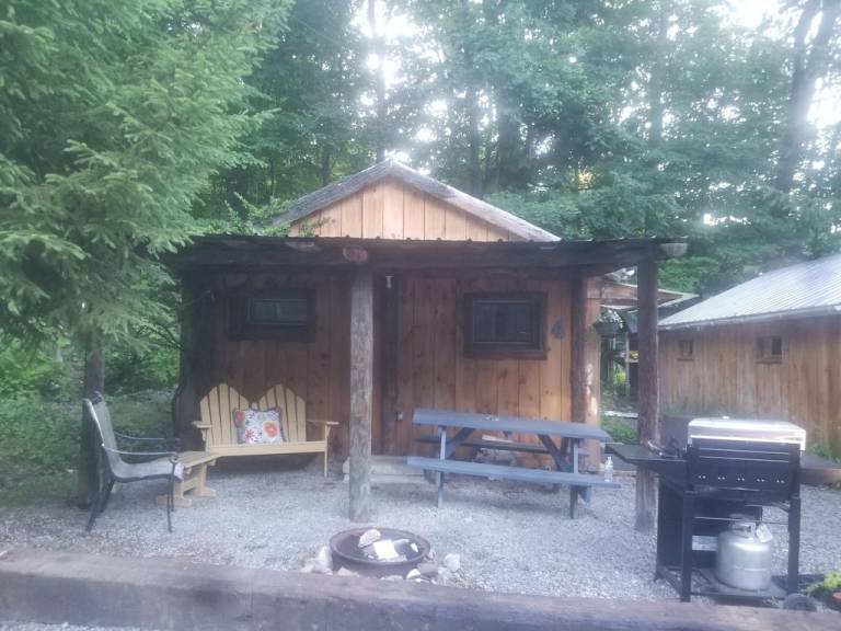 Cabin Trumansburg