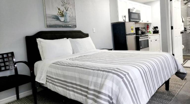 Beautiful apartment | Dogs allowed in Lakeland, FL