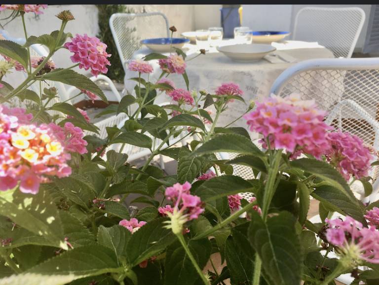 Villa indipendente a 30 m dal mare con giardino e bbq Punta Ristola-Leuca — photo 3