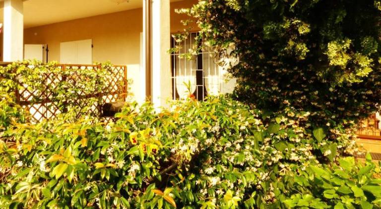 Rental apartment with patio | Dogs allowed — photo 3