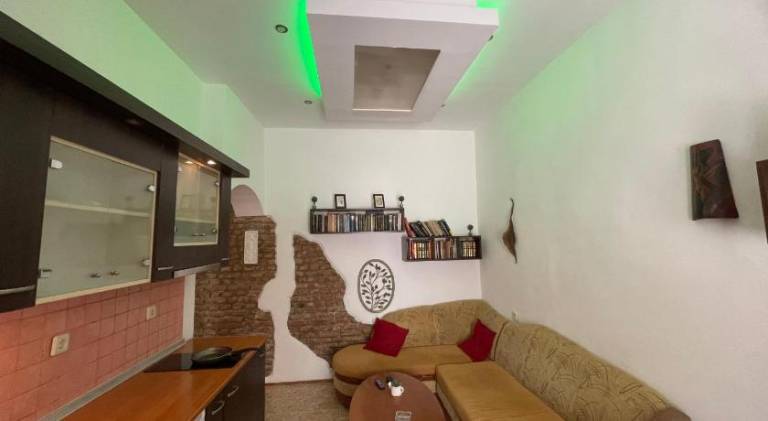Wonderful rental apartment | Pets are welcome — photo 5