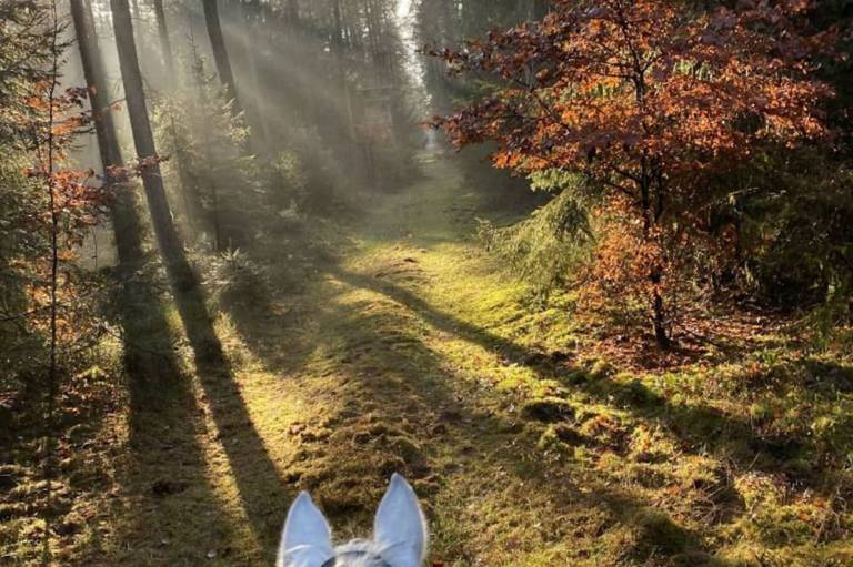foto28
