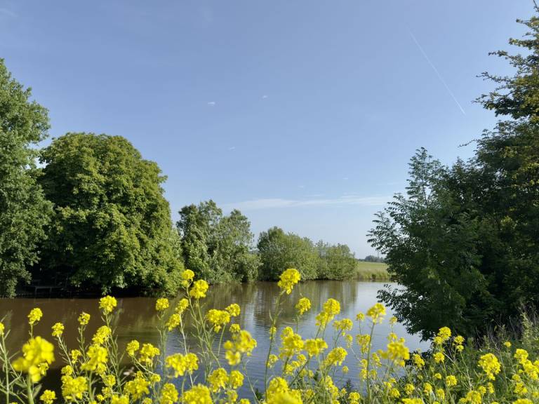 foto11