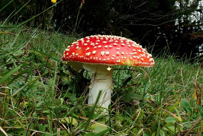 foto13