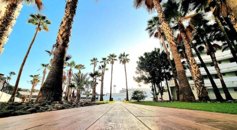 Rental apartment with patio, private pool & yard | Dogs allowed in San Bartolomé de Tirajana