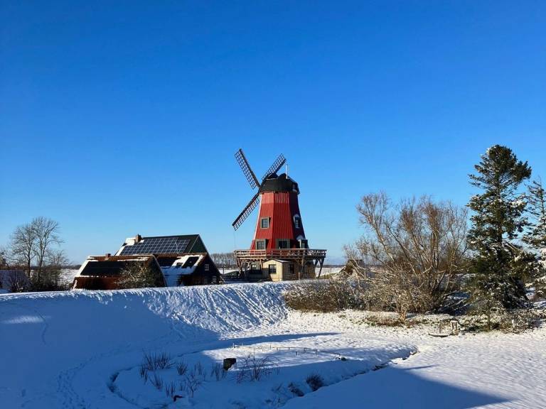 foto20