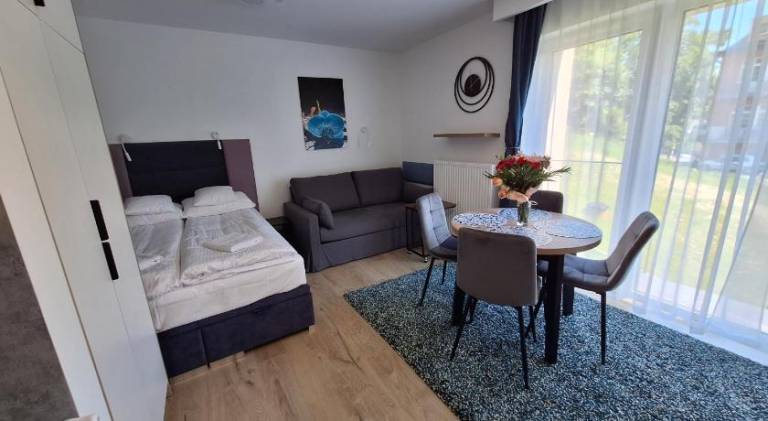Pleasant apartment | Dogs allowed in Krynica-Zdroj