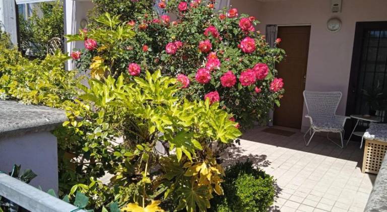 Holiday apartment | Pets allowed in Pisa