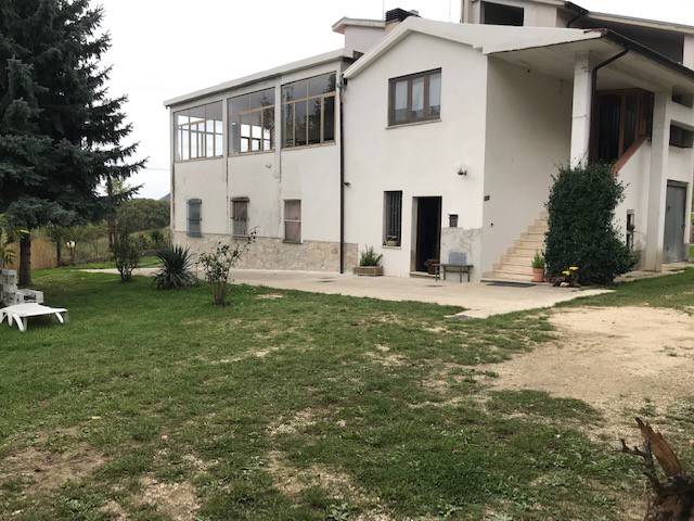 foto4