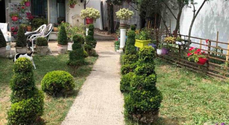 Big villa | Dogs allowed in Saint-Denis