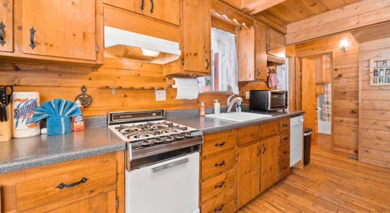 Gnome Chalet - Charming Big Bear country home! Amazing craftsmanship and with a Fenced Yard! — photo 5