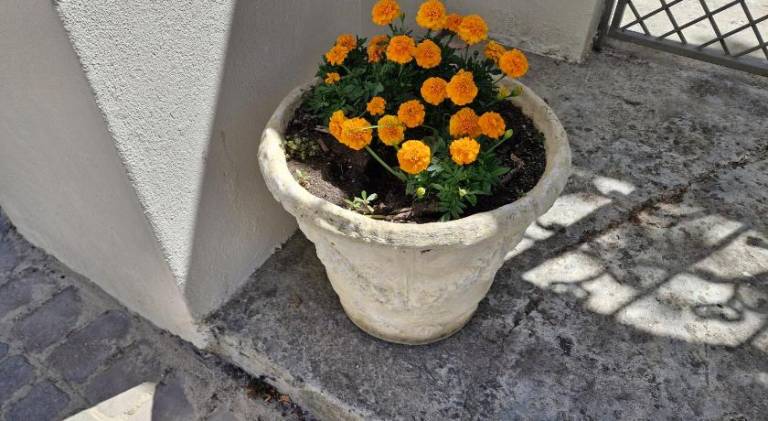 foto33