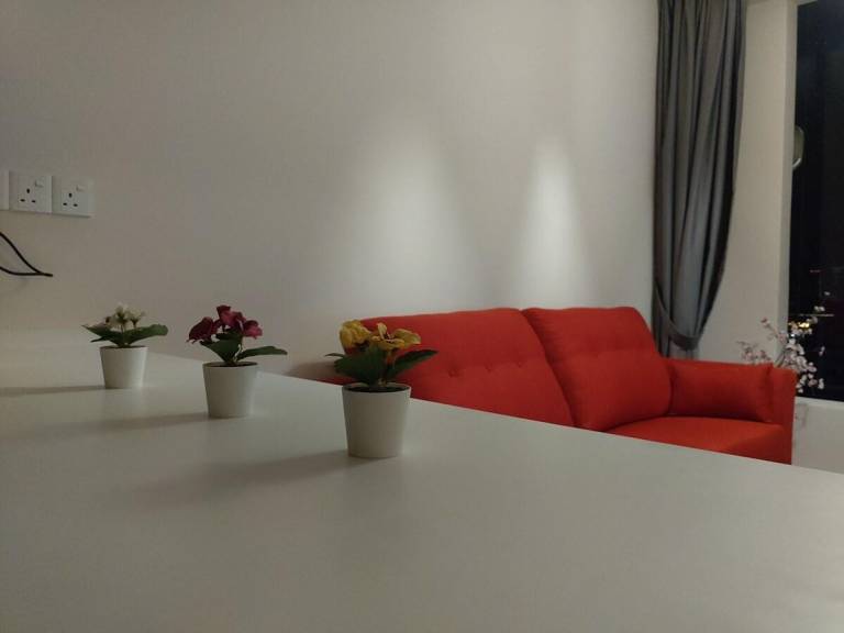 foto29