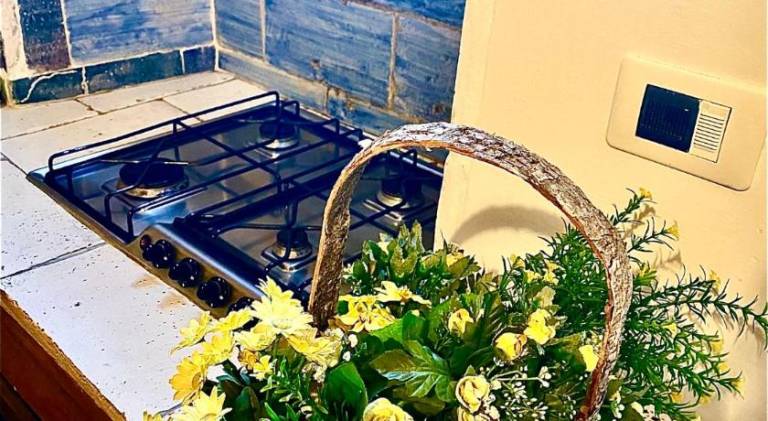 Beautiful holiday apartment | Dogs allowed — photo 5