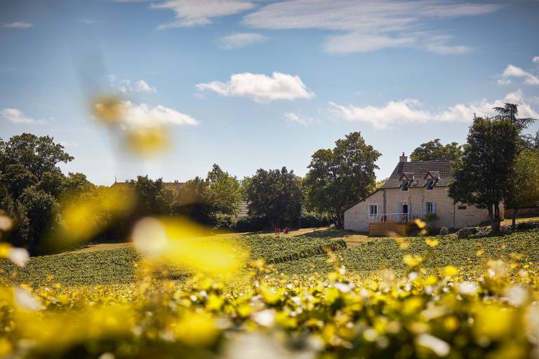 Maison de vacances Mercurey