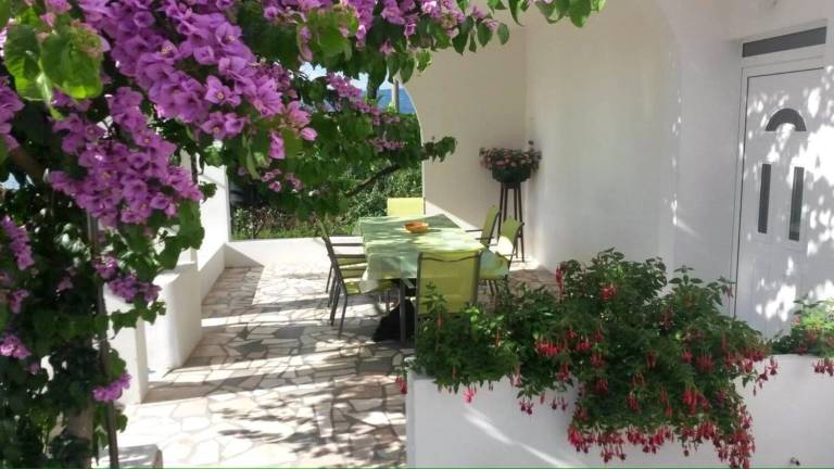 Holiday apartment with terrace & barbeque | Garden view — photo 3