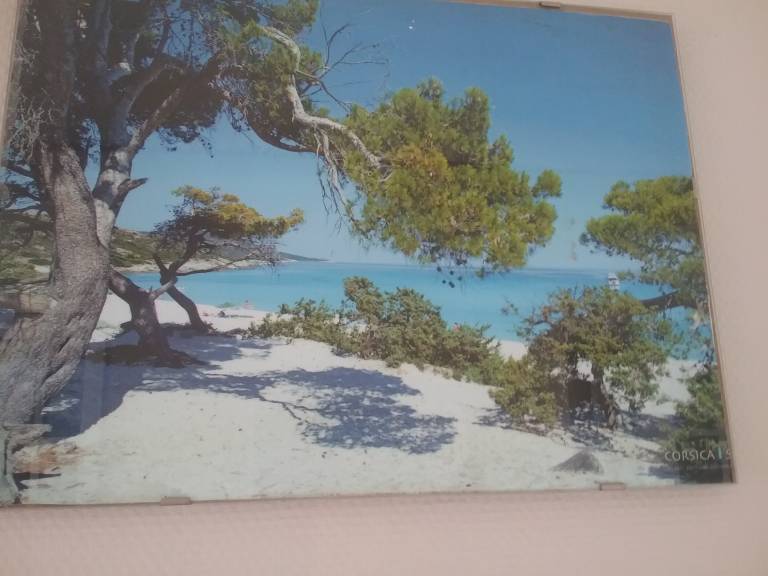 foto17