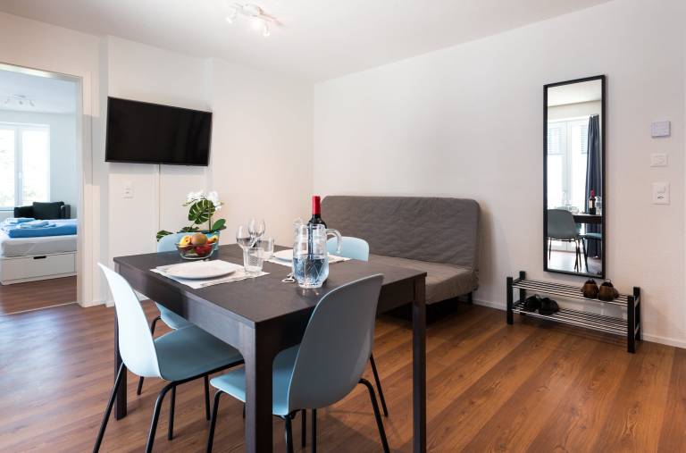 ZH Lion III Altstetten HITrental Apartment