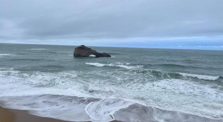 Beautiful rental apartment | Next to the beach | Pets are welcome in Biarritz