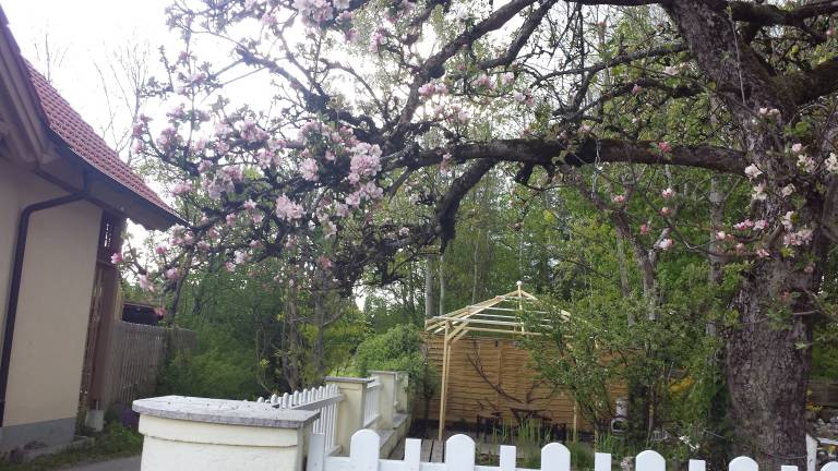 foto11