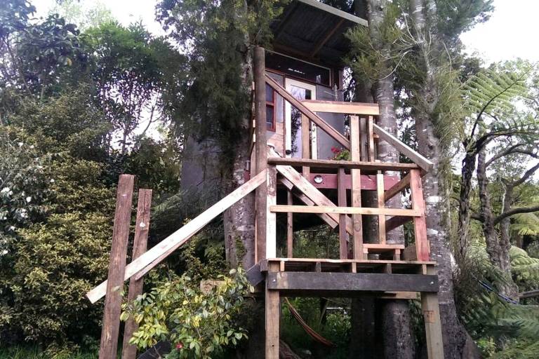 foto8