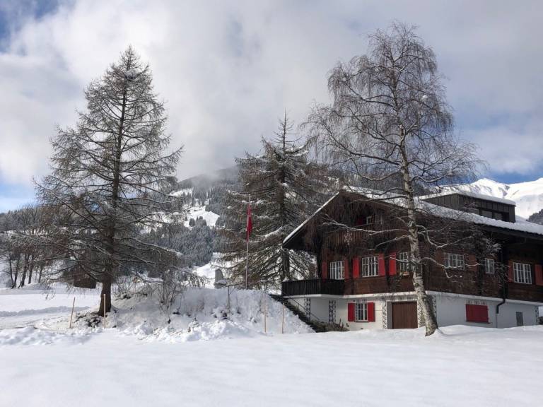 Steiger-Nellen Buretsch, (Segnas/Disentis). — photo 2