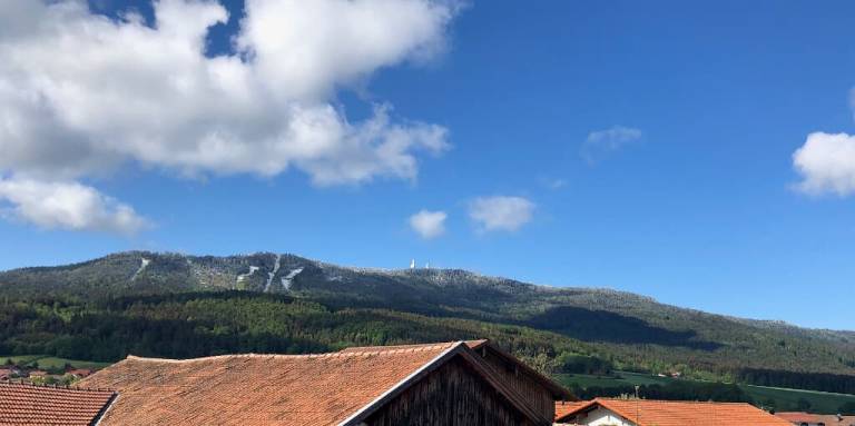 foto19