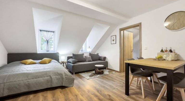 Holiday apartment | Pets are welcome in Karlovy Vary