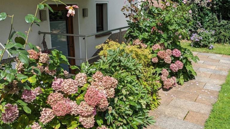 60 m² Ferienwohnung