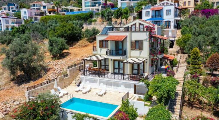 Villa with pool — photo 4