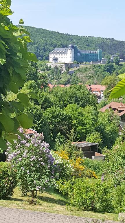 foto14