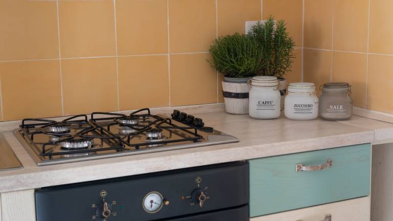 Family-oriented apartment with garden & terrace | Sea view | Pets allowed — photo 4