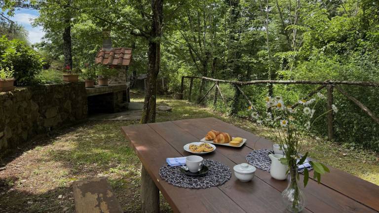 Farm with garden, private pool & terrace — photo 3