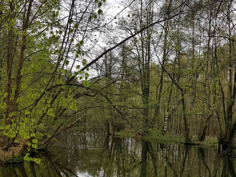 foto13