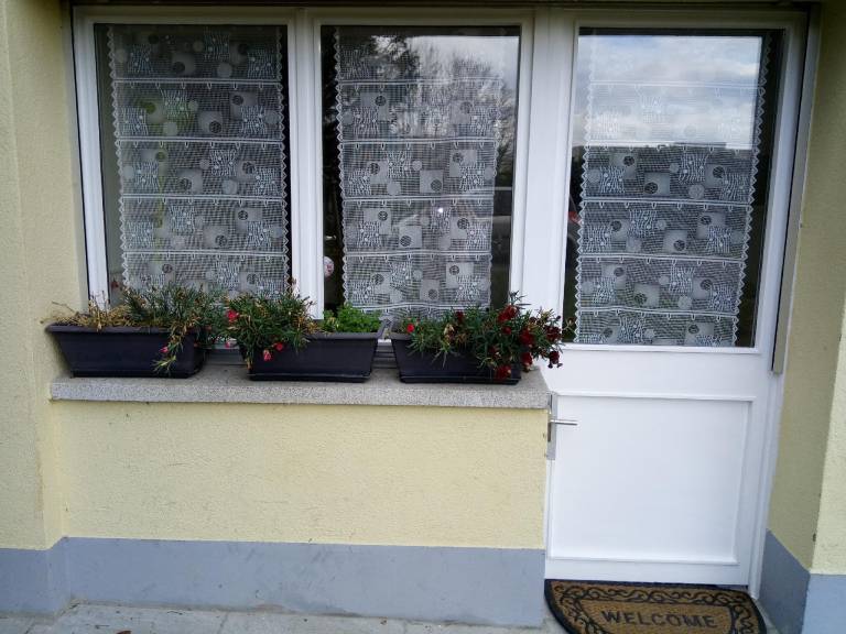 foto31