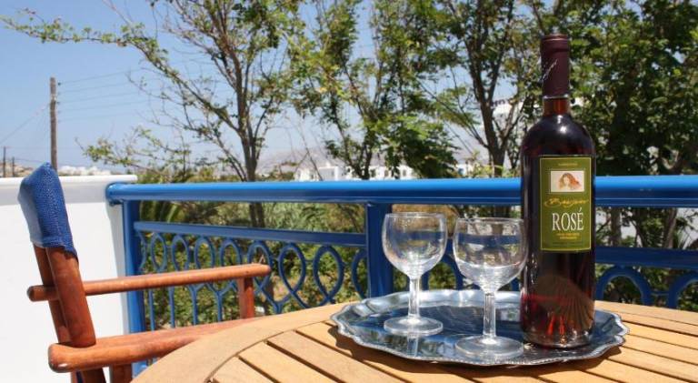 Lovely serviced apartment with pool, garden & patio | Close to the beach | Pets are welcome — photo 5