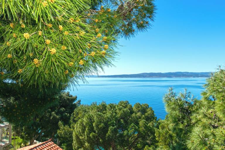 Ferienwohnung Baška Voda