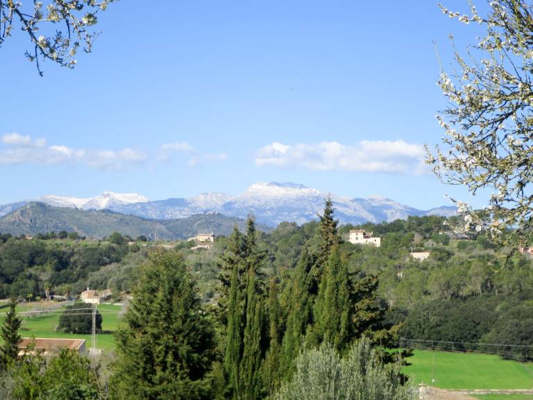 foto48
