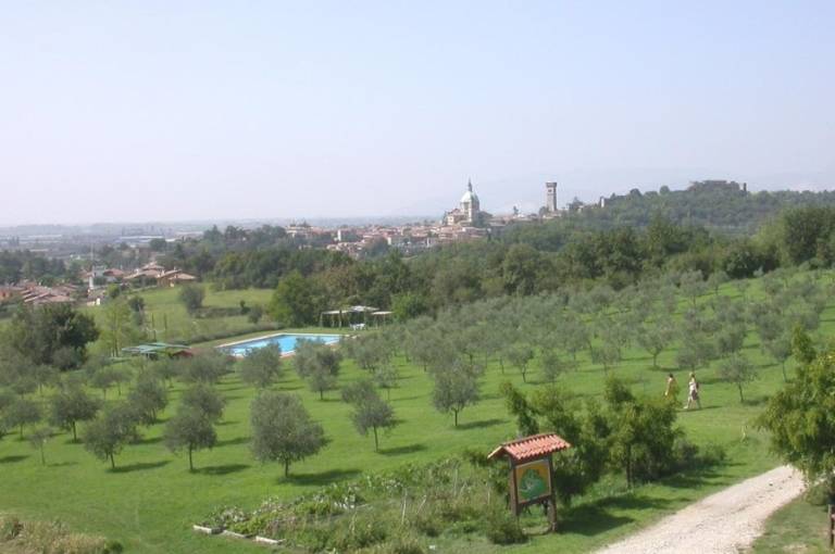 foto1
