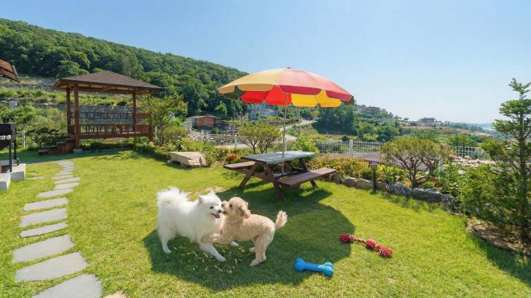 Ganghwa Plitvice Pension in Incheon