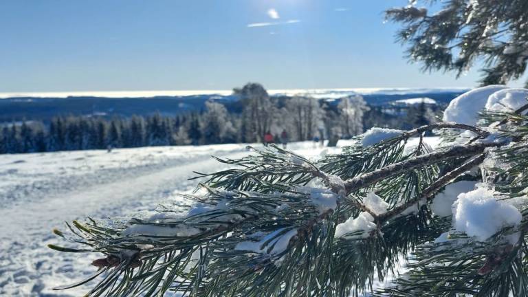 Ferienwohnung Niedersfeld